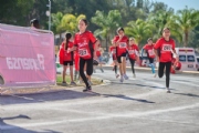 T3959444