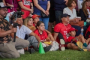 T3958084