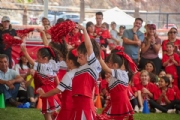 T3958388