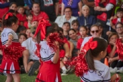 T3958537