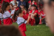 T3958591