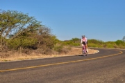 F3966537