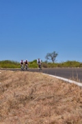 K3965275