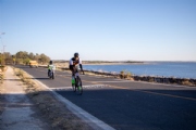 F3962644