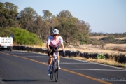 H3962391