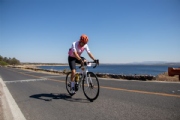 P3962713