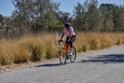 I3966877