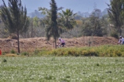 J3967292