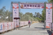 W3967777