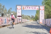 Y3969919
