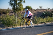 N3960186