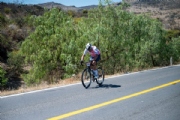 V3960305
