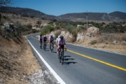 V3961920