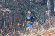 D3972137