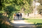 C3974273