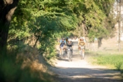 C3974307