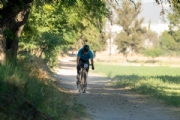 D3974259