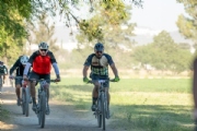 O3974576