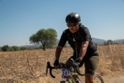 Z3973906