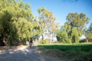 C3972540