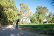 C3972608