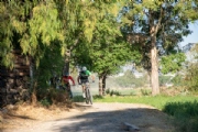 C3973056