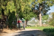 C3973123