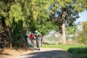 C3973138