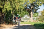 C3973141