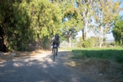 C3973774