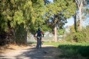 D3972937