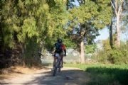 D3972969