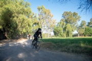 E3972365