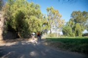E3972415