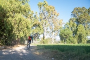 E3972993