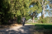 F3973667