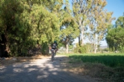 K3972863