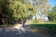 K3972881