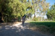 K3972890