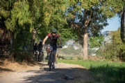 K3973039