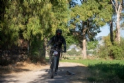 N3972975