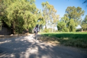 R3973601