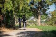 R3973832