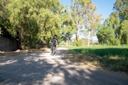 S3972383