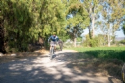 S3972419