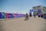 T3975590