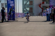 V3975653