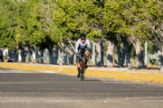 C3977151