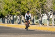 C3977183