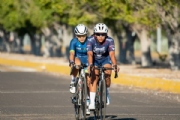 D3976581